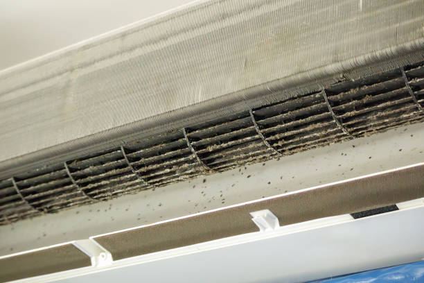 Best Air Vent Cleaning Services  in Grover, WY